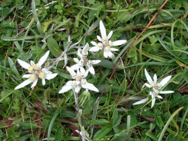 photo21.jpg