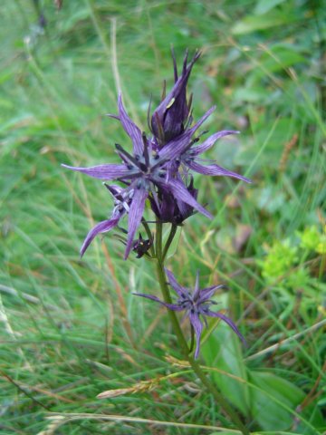 photo11.jpg