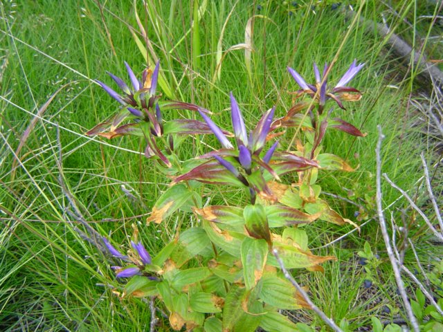 photo12.jpg
