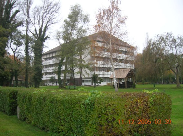 photo1.jpg