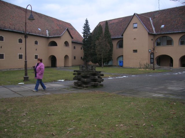 photo5.jpg