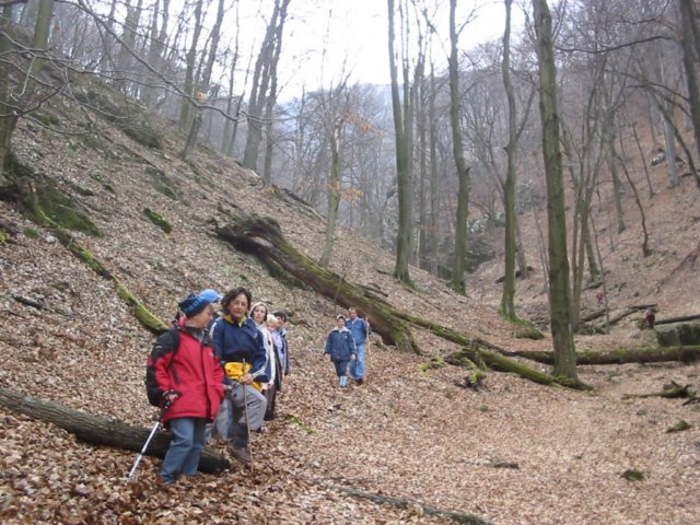 photo11.jpg