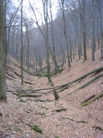 photo2.jpg