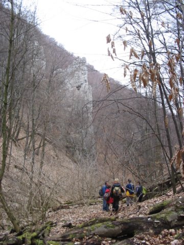 photo4.jpg