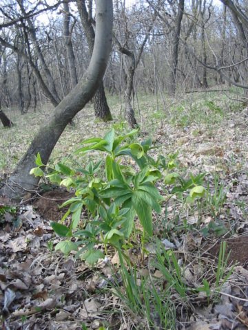 photo6.jpg