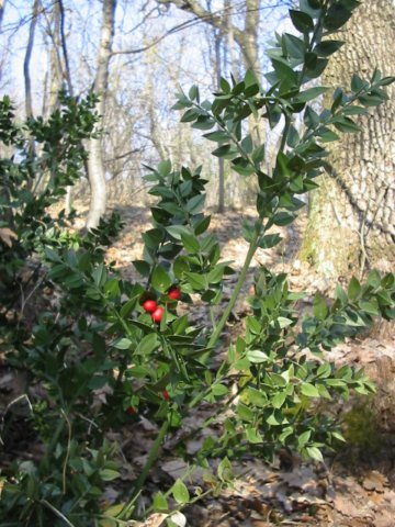 photo7.jpg