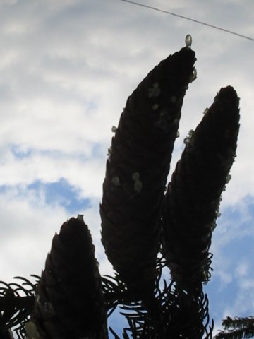 photo4.jpg