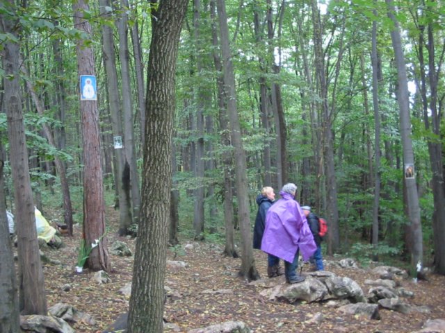 photo15.jpg