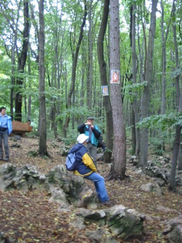 photo2.jpg