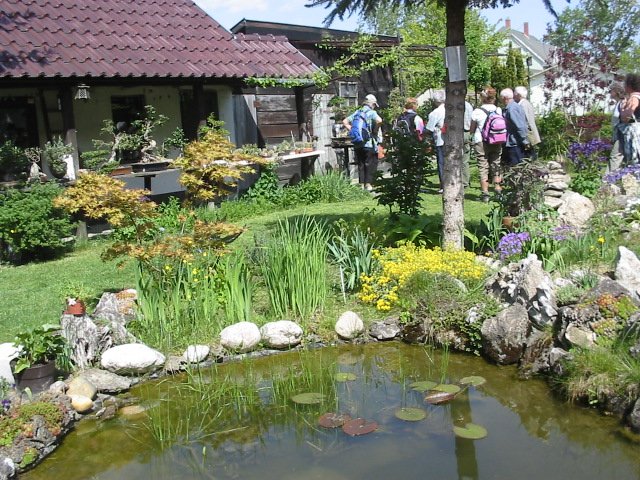 photo11.jpg