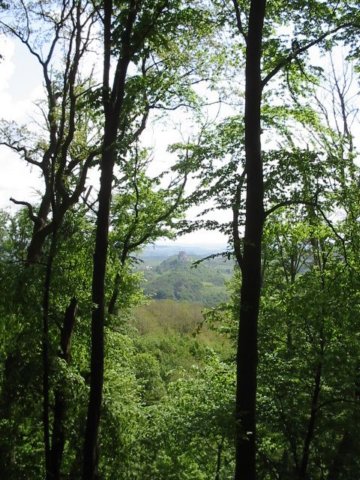 photo14.jpg