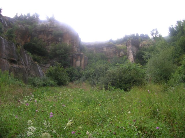 photo1.jpg