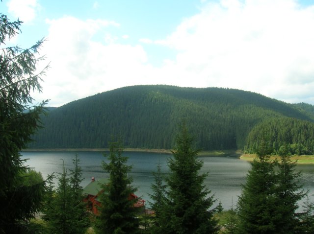 photo16.jpg