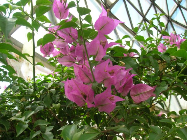 photo43.jpg