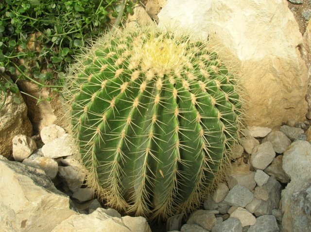 photo45.jpg