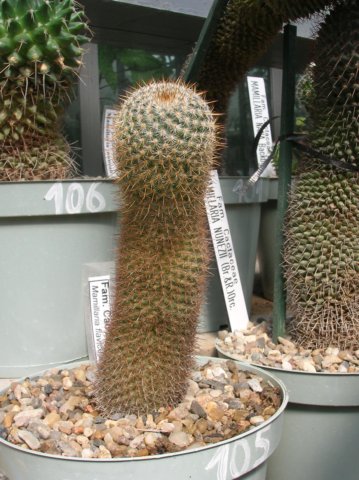 photo51.jpg