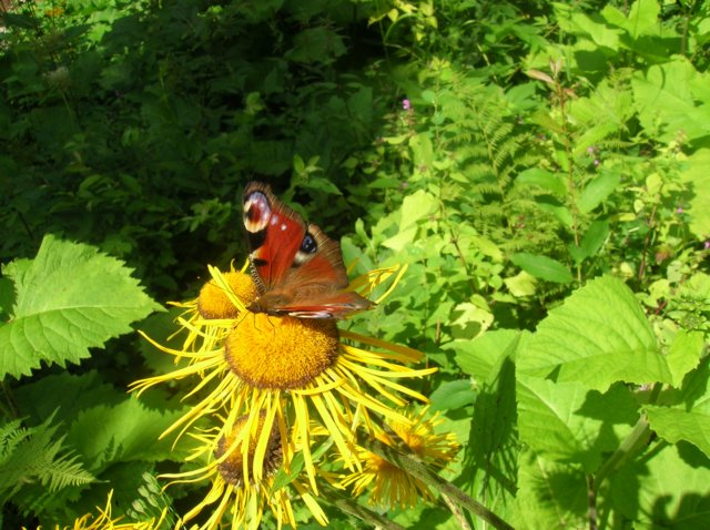 photo9.jpg