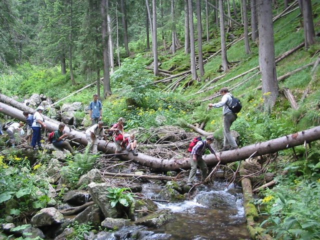 photo11.jpg