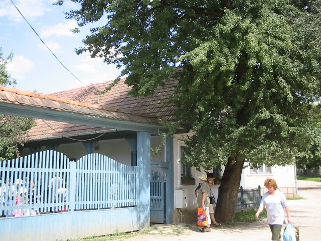 photo16.jpg