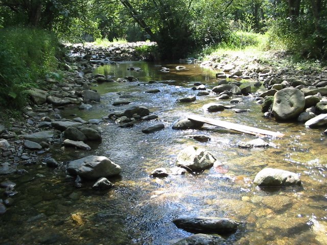 photo21.jpg