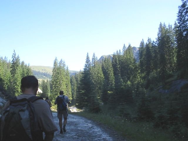 photo25.jpg