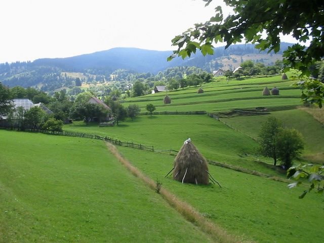 photo32.jpg