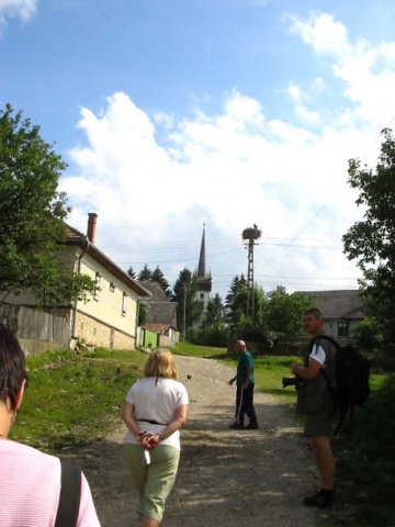 photo38.jpg