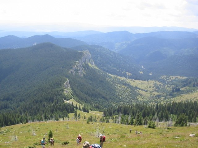 photo4.jpg