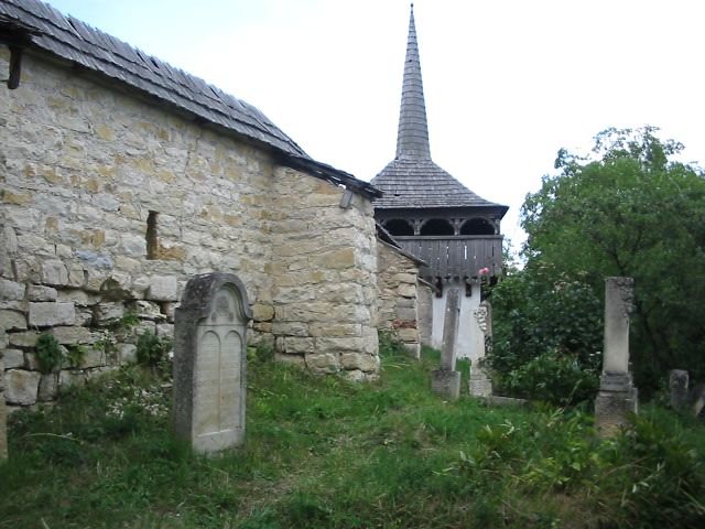 photo40.jpg