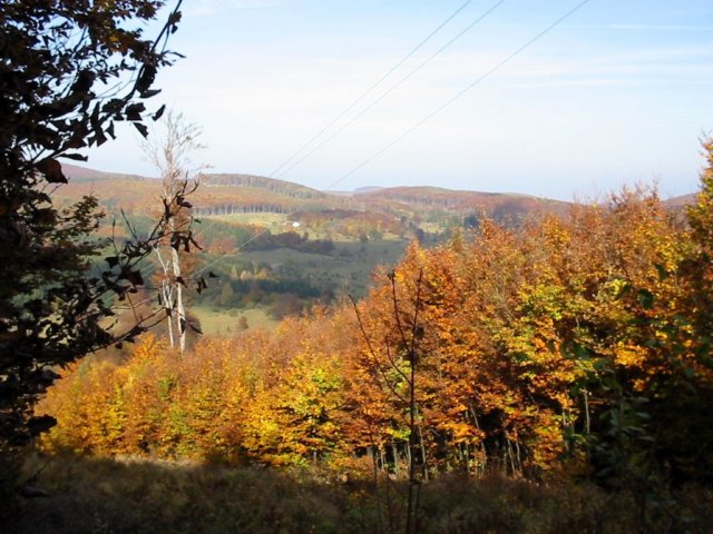 photo11.jpg