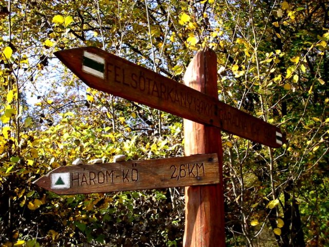 photo14.jpg