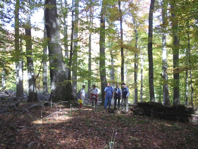 photo6.jpg