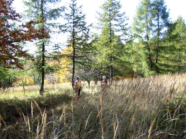 photo7.jpg