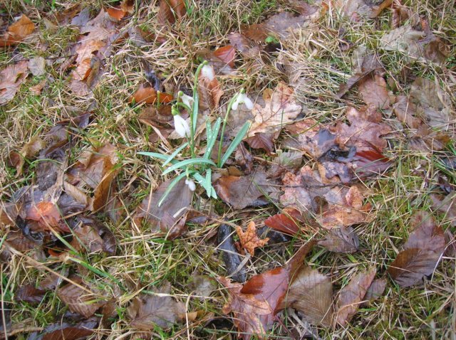 photo1.jpg