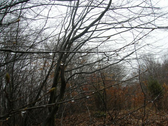 photo18.jpg