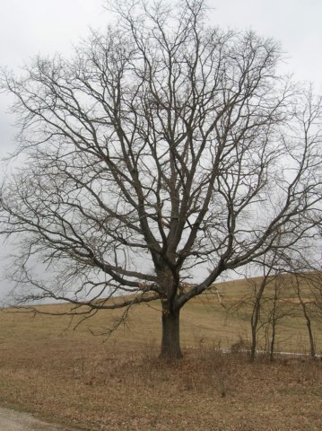 photo23.jpg