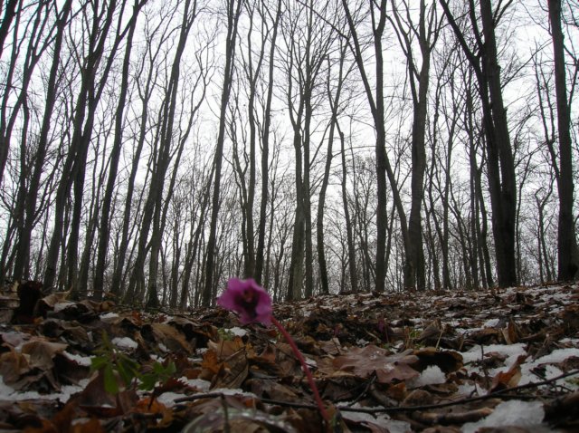 photo7.jpg