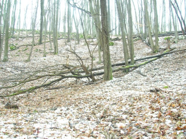 photo9.jpg