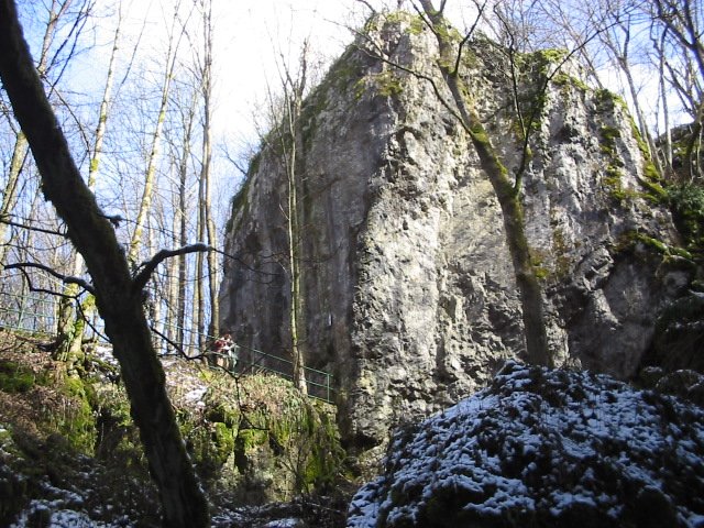 photo10.jpg