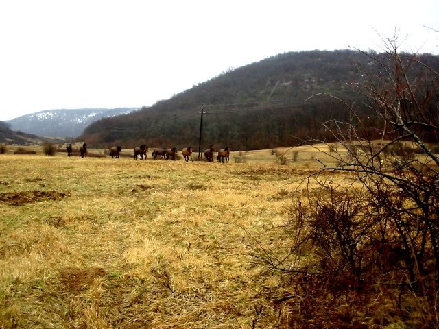 photo15.jpg