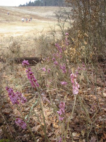 photo6.jpg