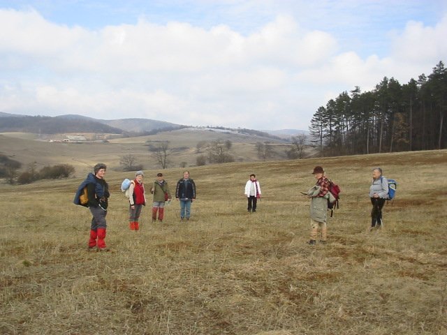 photo7.jpg