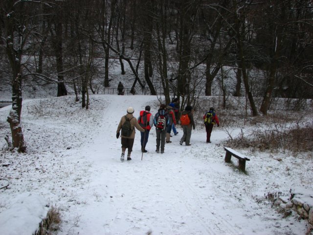 photo1.jpg