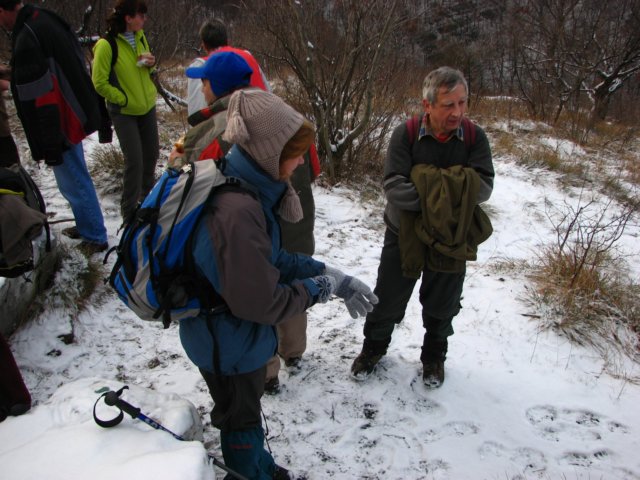photo12.jpg
