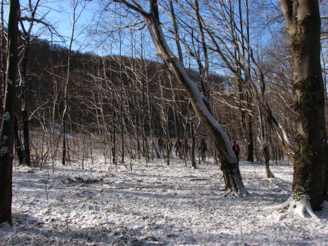 photo21.jpg