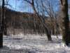 photo21_small.jpg