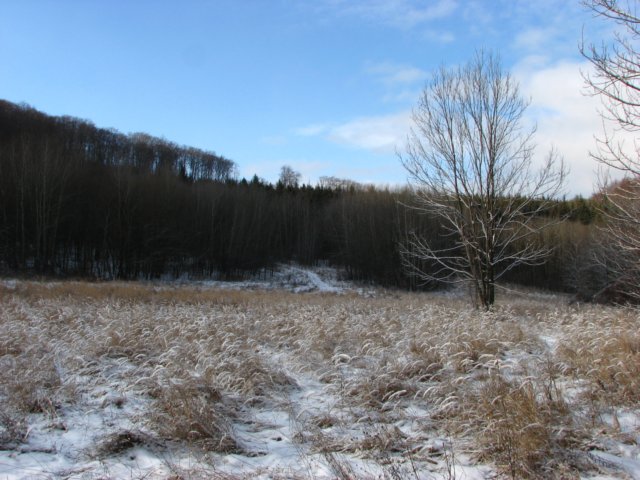photo23.jpg