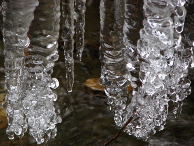 photo26.jpg