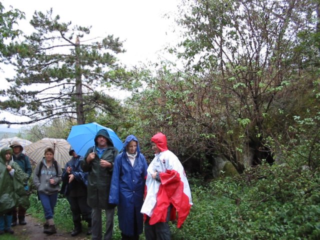 photo13.jpg