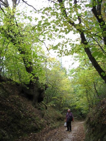 photo17.jpg